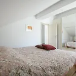 Apartment Rasica *