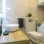 Apartment Rasica